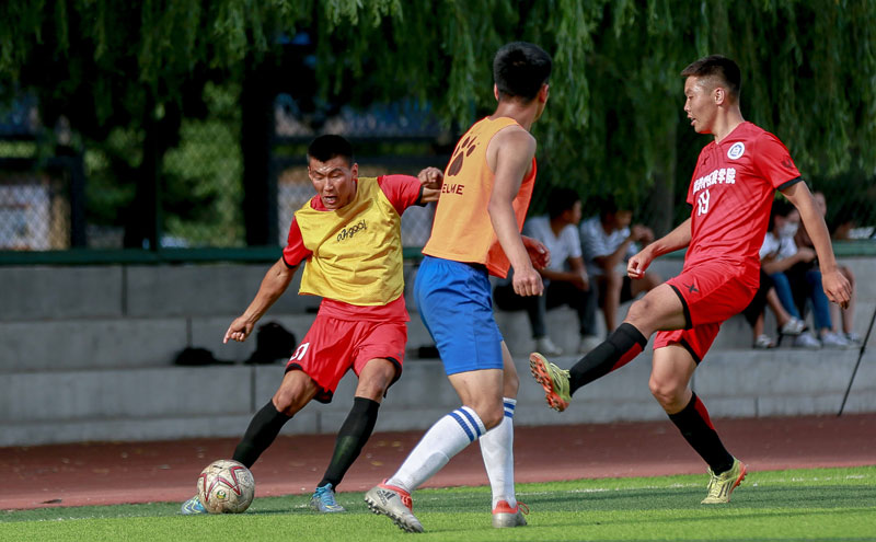 本赛季俱乐部双人组进球榜：凯恩+迪亚斯37球高居第一（俱乐部本季双人进球榜：凯恩与迪亚斯以37球领跑）