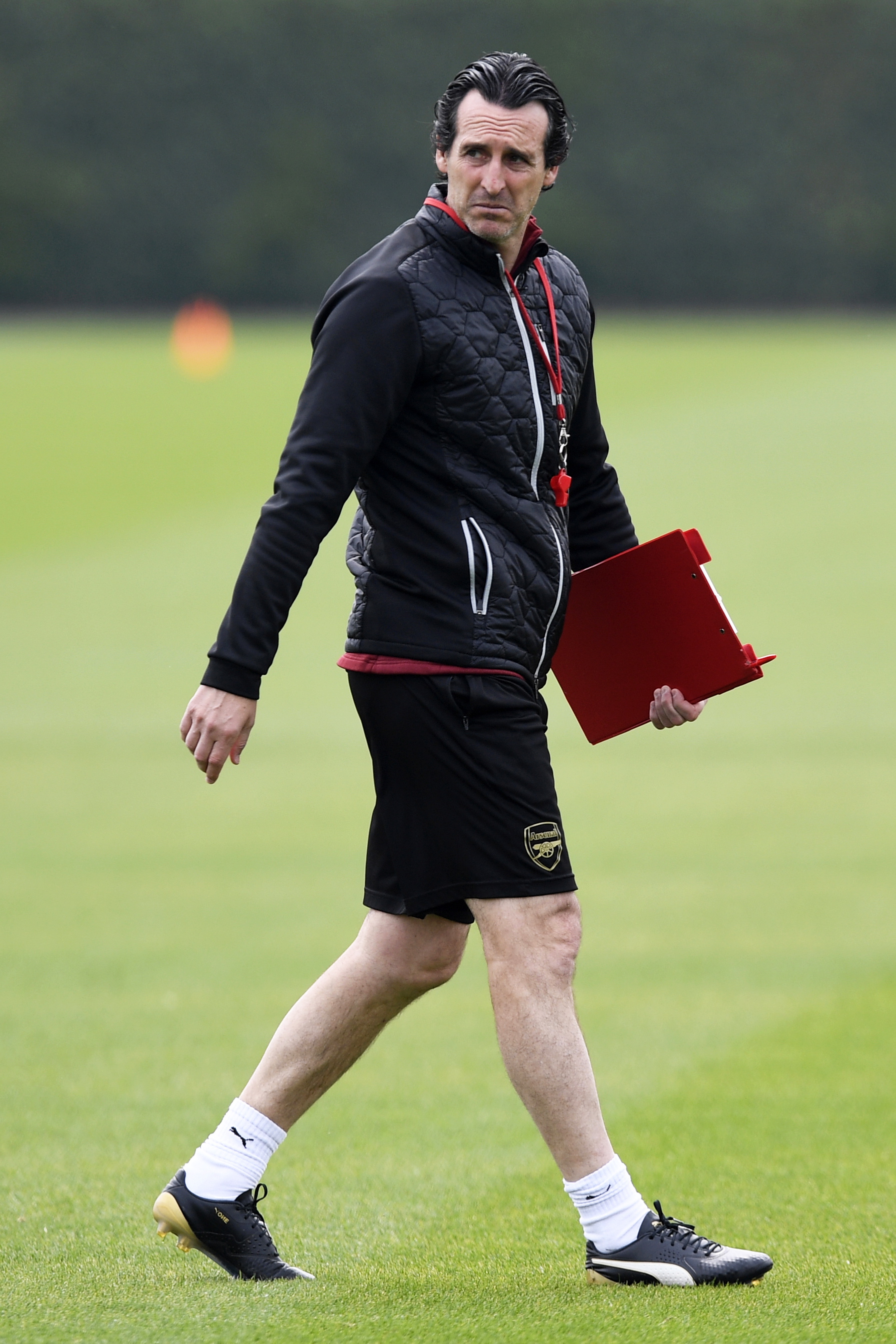 米兰本赛季表现强劲，阵容稳定，今夜对阵萨索洛关键，需全力争胜。（米兰本季状态火热、阵容稳定，今夜对萨索洛一战至关重要，唯有全力争胜）